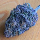 alphamedshop.com, Tinley Park