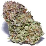 alphamedshop.com, Tinley Park