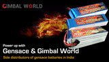 Gimbal World, New delhi