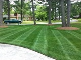 Weed Free Lawns, Oklahoma City