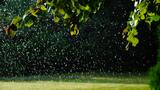 Menus & Prices, GREENVILLE IRRIGATION SERVICES, GREENVILLE