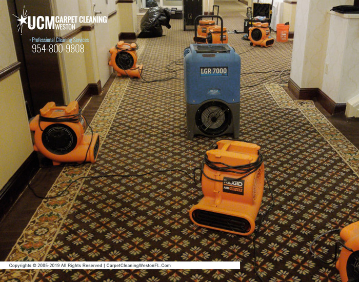  Profile Photos of UCM Carpet Cleaning Weston 120 Lakeview Dr - Photo 8 of 8