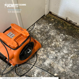  UCM Carpet Cleaning Weston 120 Lakeview Dr 