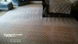  UCM Carpet Cleaning Weston 120 Lakeview Dr 