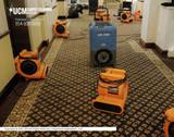  UCM Carpet Cleaning Weston 120 Lakeview Dr 