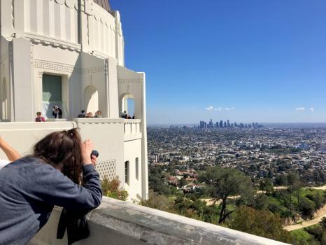  Profile Photos of A Day in LA Tours - Los Angeles Tours 1445 4th St. - Photo 4 of 4