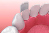  Shelburne Village Dental 125 Main St W 