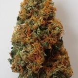  rxmegashop.com 17333 South La Grange Road #201 
