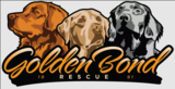 Golden Bond Rescue, Portland