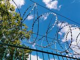  Pro Macon Fence Company 163 Forest Avenue 