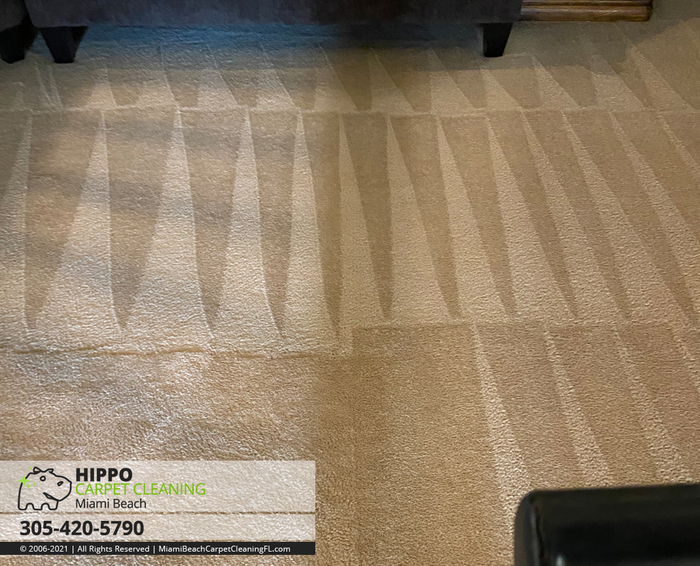  Profile Photos of Hippo Carpet Cleaning Miami Beach 1623 Lenox Ave #3 - Photo 2 of 4