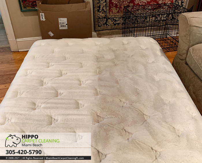 Profile Photos of Hippo Carpet Cleaning Miami Beach 1623 Lenox Ave #3 - Photo 4 of 4