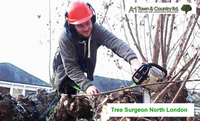  Profile Photos of A1 Town and Country Tree Care Ltd 47 Cooks Mead - Photo 3 of 8