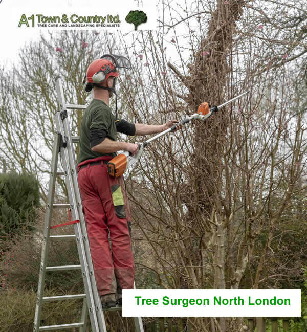  Profile Photos of A1 Town and Country Tree Care Ltd 47 Cooks Mead - Photo 4 of 8