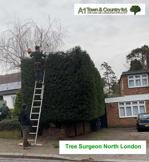  Profile Photos of A1 Town and Country Tree Care Ltd 47 Cooks Mead - Photo 5 of 8