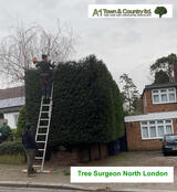  A1 Town and Country Tree Care Ltd 47 Cooks Mead 