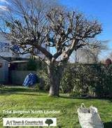  A1 Town and Country Tree Care Ltd 47 Cooks Mead 