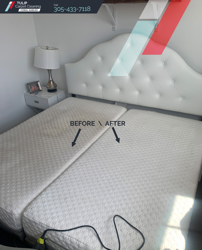  Profile Photos of Tulip Carpet Cleaning Coral Gables 310 Granello Ave - Photo 5 of 10