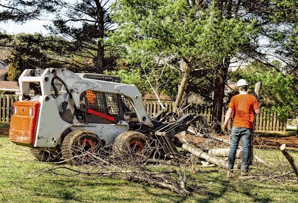  New Album of Mullins Tree Service 1040 Barbee Rd - Photo 1 of 5