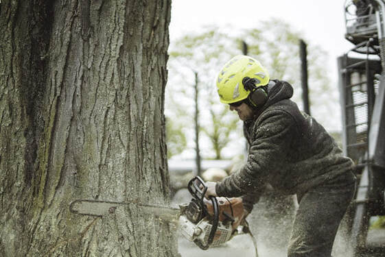  New Album of Mullins Tree Service 1040 Barbee Rd - Photo 5 of 5