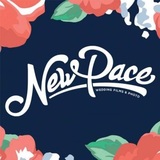  New Pace Wedding Films & Photo 6 E Athens Ave., Suite B 