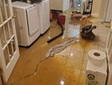  PuroClean of King of Prussia 630 Freedom Business Center 3rd Floor 