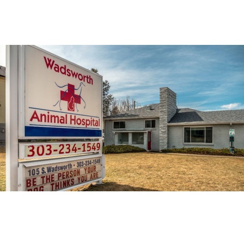  New Album of Wadsworth Animal Hospital 105 South Wadsworth Boulevard - Photo 1 of 4