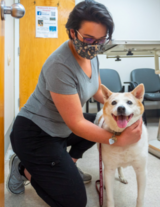  Wadsworth Animal Hospital 105 South Wadsworth Boulevard 
