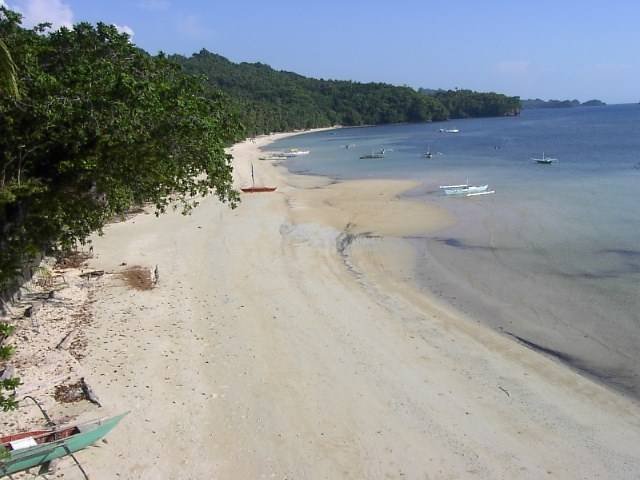  Profile Photos of ARTISTIC DIVING RESORT Punta Ballo White Beach - Photo 10 of 15