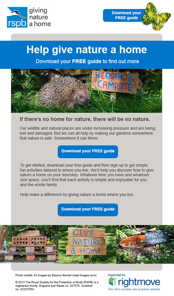 RSPB email design Amber Phillips Design Portfolio of Amber Phillips Design 66 The Vineyards - Photo 18 of 18
