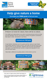RSPB email design Amber Phillips Design 66 The Vineyards 