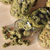 Go Green Cannabiz Dispensary, Santa Ana