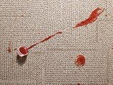  Carpet Cleaning Markham Pros 3950 14th Avenue Suite 301 