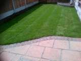 All in one home and garden maintenance, chingford