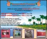 Menus & Prices, BUSINESS MEDIA PROMOTION, Bucuresti