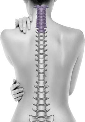 Profile Photos of Neck & Low Back Pain Relief Specialist 771 Vassar Ave suite 19 - Photo 1 of 4