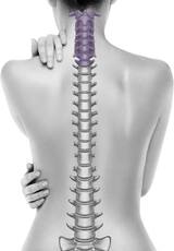 Neck & Low Back Pain Relief Specialist, Lakewood