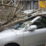 Alabama Insurance Agency-Greensboro, Greensboro