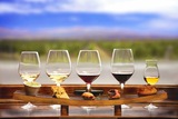 Niagara Vintage Wine Tours, Niagara Falls