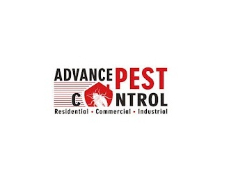  Profile Photos of Advance Pest Control Inc. Unit 203 â€“ 15299 68 Ave - Photo 1 of 1