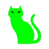 Green Cat Consulting, Tyler