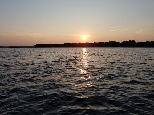  Profile Photos of Harvest Moon Fishing Charters 227 Shore Rush Drive - Photo 3 of 4