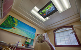  Times Square Dental 1529 S Times Square Ct. 