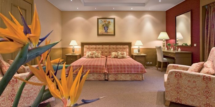  Profile Photos of Divani Palace Acropolis Hotel Parthenonos 19-25 - Photo 8 of 14