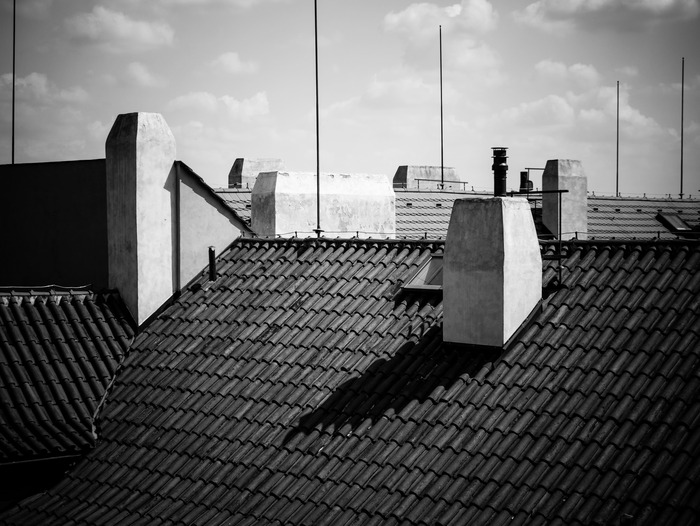  Profile Photos of Clean Roof 11 rue Joseph de Pesquidoux - Photo 1 of 4