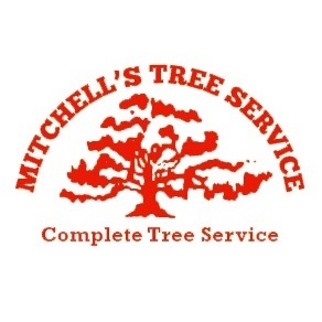  Profile Photos of Mitchell's Tree Service 12726 Ivylena Road - Photo 1 of 1
