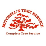 Mitchell's Tree Service, Jacksonville