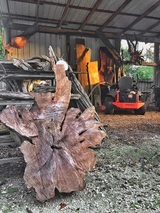 Mitchell's Tree Service, Jacksonville