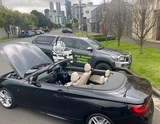 Buy Smart Vehicle Checks, Bundoora