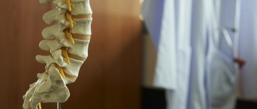  Profile Photos of Fullness of Life Chiropractic 150 John F Kennedy Rd #10 - Photo 2 of 4
